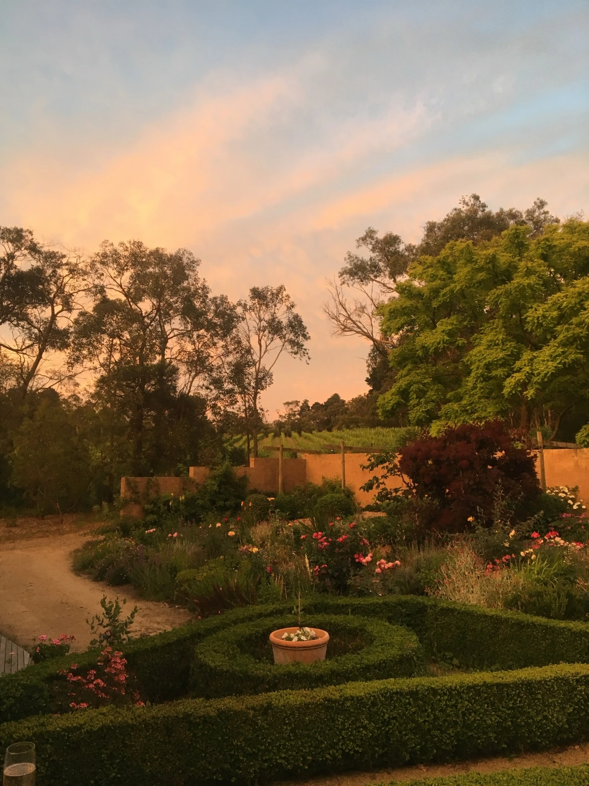 The garden at the Merli family home at sunset